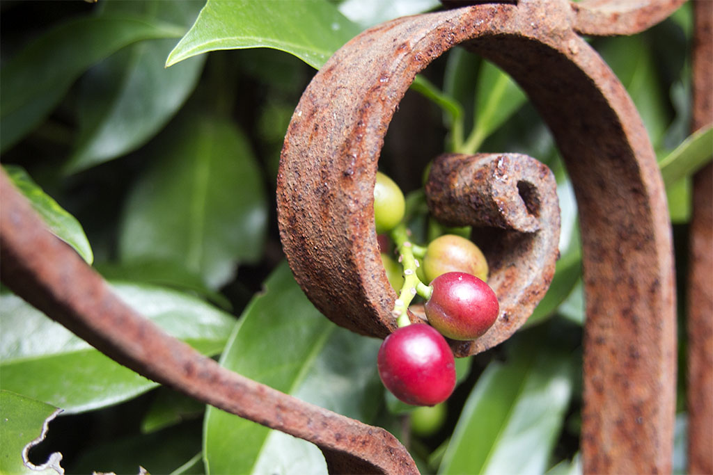 14_1708_Torhaus_1119_oly