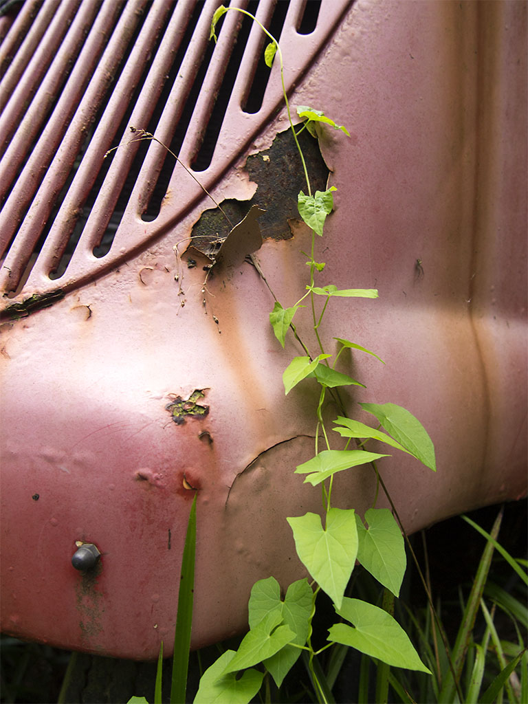 14_1708_Torhaus_1148_oly