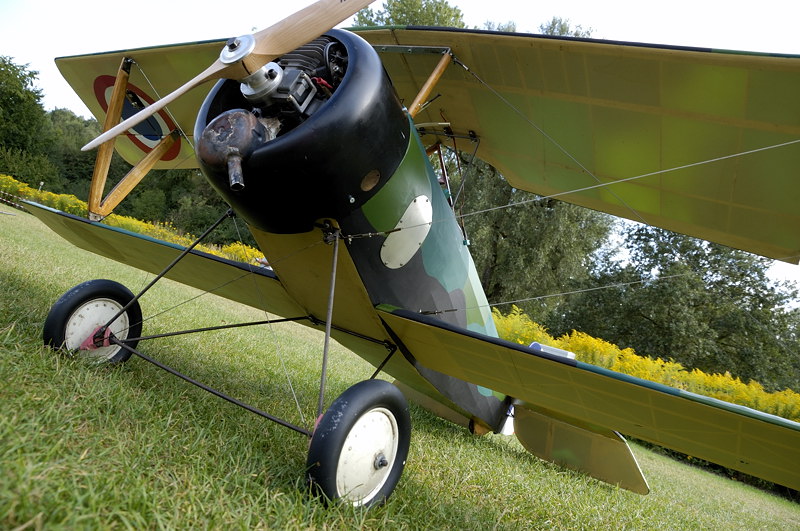 test_d50_sigma18200_modelle_maxi_005