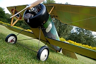 test_d50_sigma18200_modelle_maxi_005