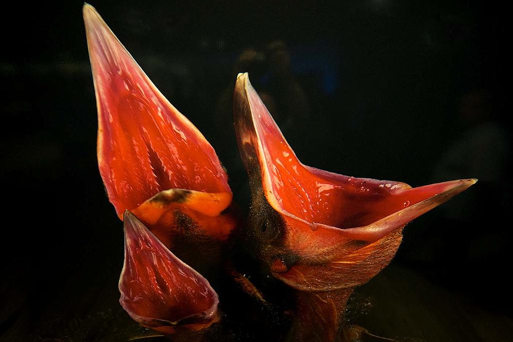 P7170257