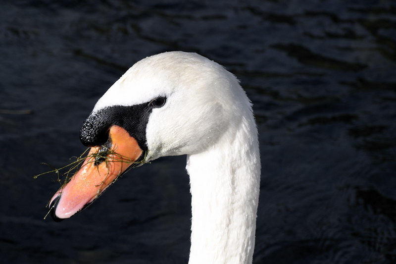 1410_duhafen_001