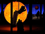 2110_sternstde2_029