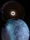 mond_gaso05